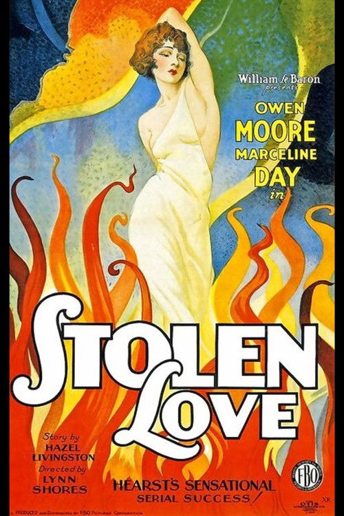 Stolen Love (1928) poster
