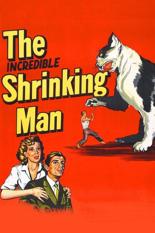 The Incredible Shrinking Man (1957) poster