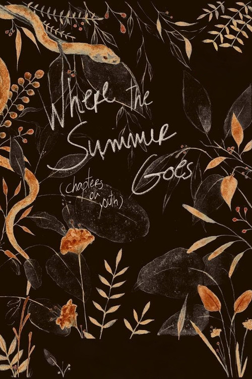 Where the Summer Goes (Chapters on Youth) (2018) poster
