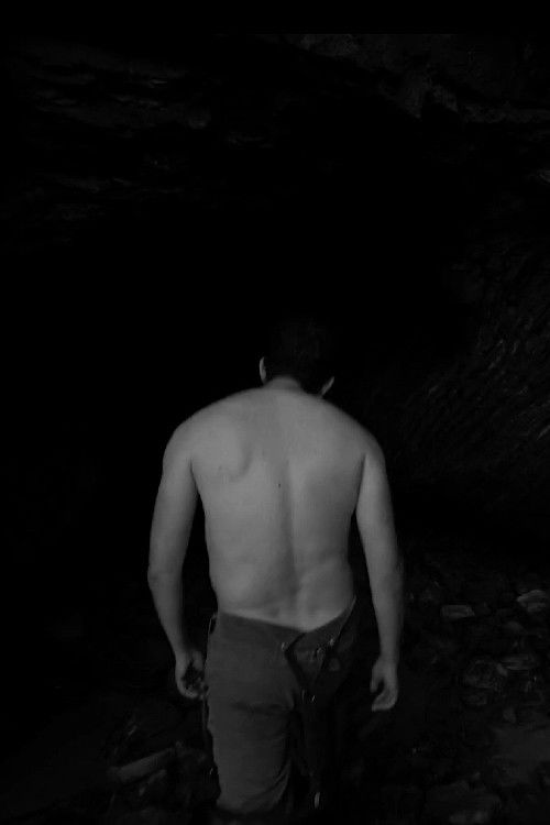 The Cave (2025) poster