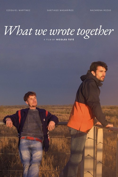 Lo que escribimos juntos (2025) poster