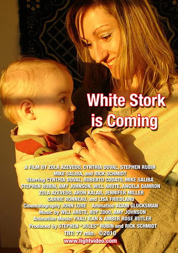 White Stork Is Coming (2010) poster
