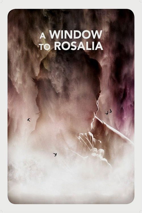 A Window to Rosália (2017) poster
