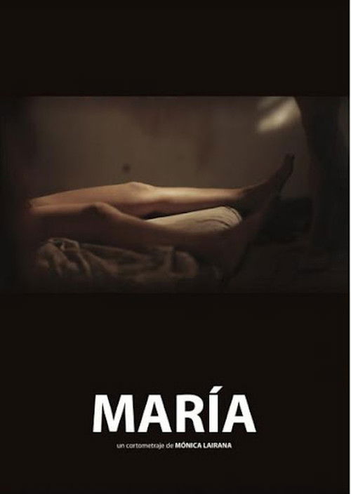 María (2013) poster