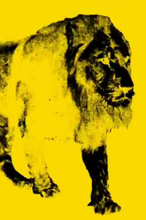 9 images d'un lion en mouvement (1999) poster