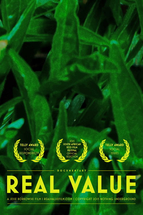 Real Value (2013) poster