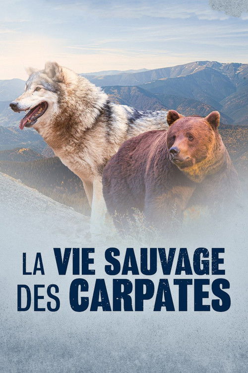 La Vie sauvage des Carpates (2020) poster
