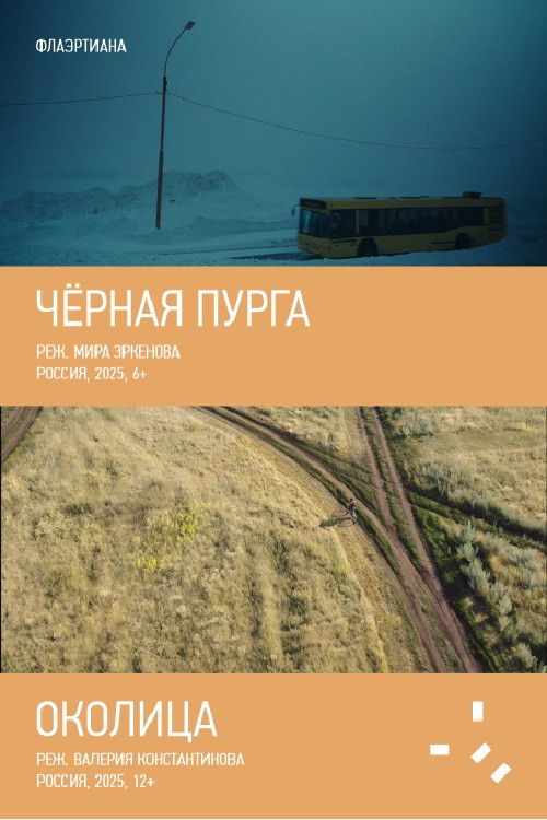 Чёрная пурга (2025) poster