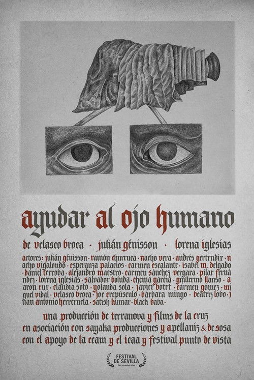 Ayudar al ojo humano (2017) poster