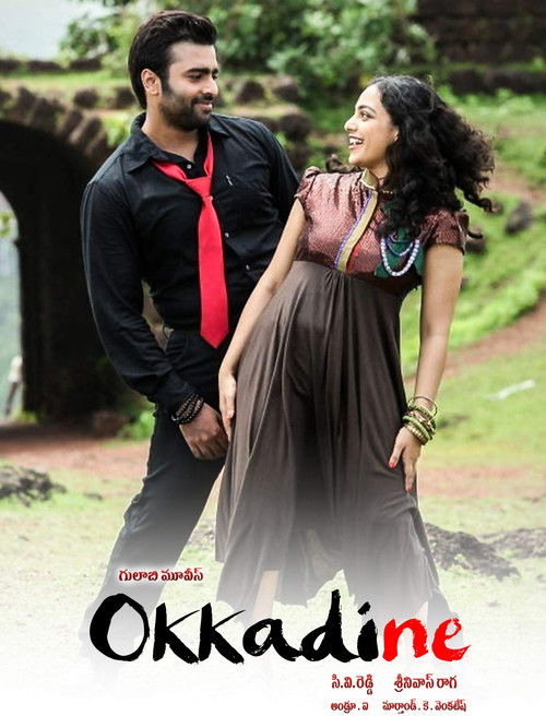 Okkadine (2013) poster
