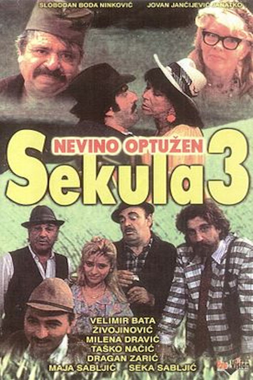 Sekula Innocent Accused (1992) poster