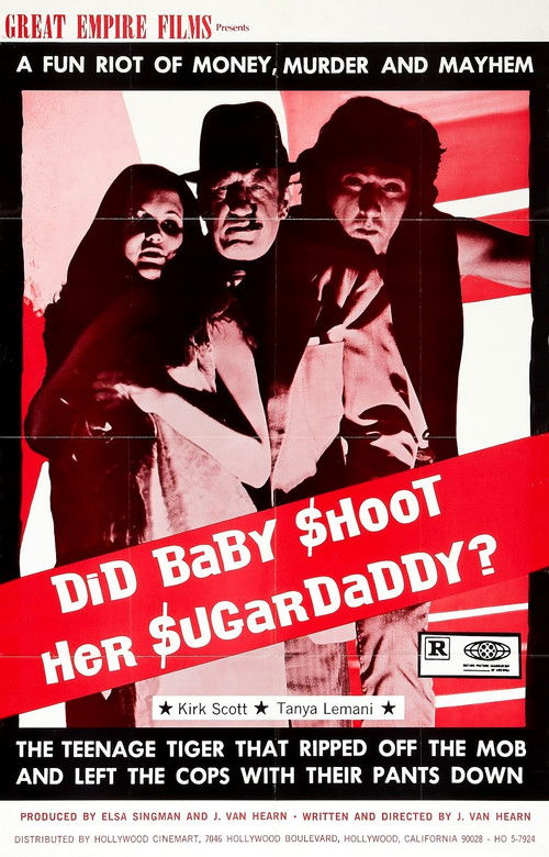 Did Baby Shoot Her Sugardaddy? (1972) poster
