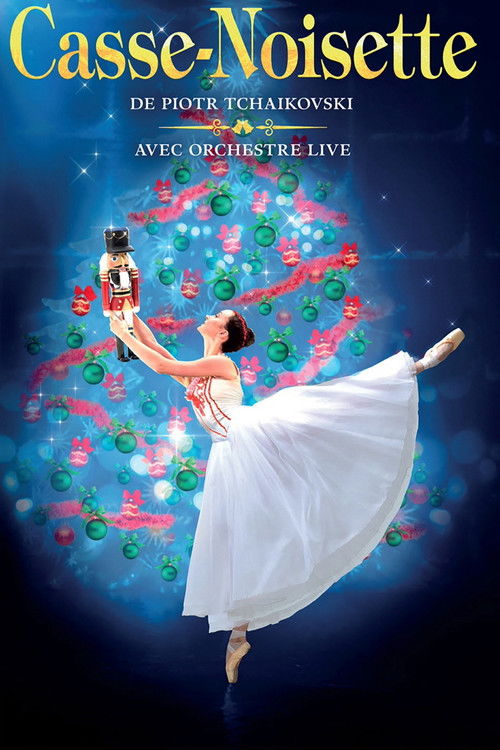 Casse-Noisette (2011) poster