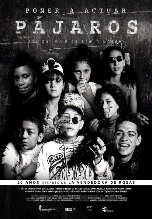 Making Birds Act (2017) poster