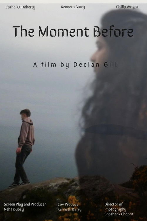 The Moment Before (2025) poster