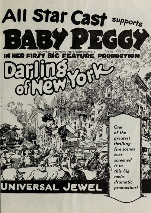 The Darling of New York (1923) poster