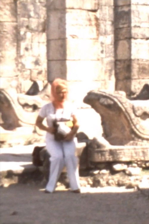 A Trip to the Ruins (2014) poster