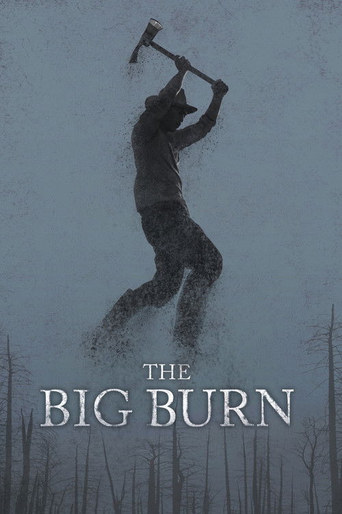 The Big Burn (2015) poster
