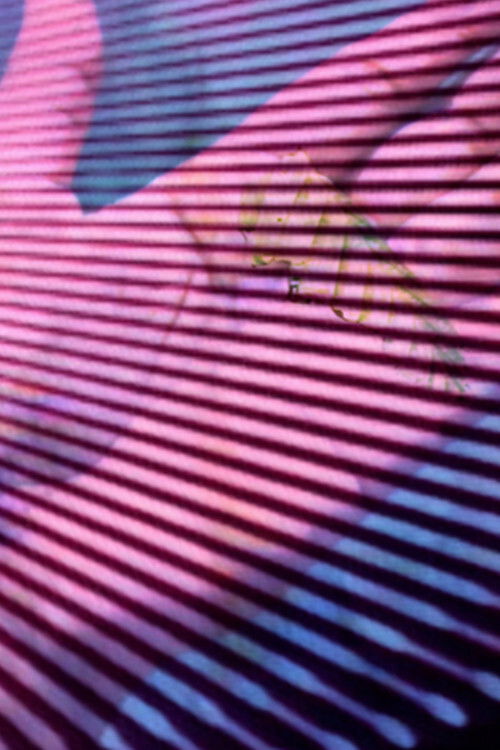 Incantation (2021) poster