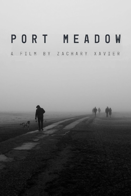 Port Meadow (2022) poster