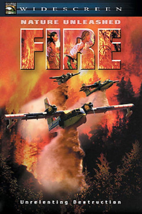 Nature Unleashed: Fire (2004) poster