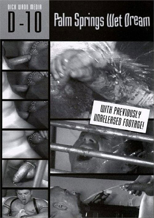 Palm Springs Wet Dream (2006) poster