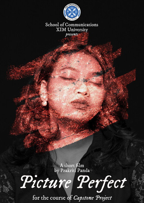 Picture Perfect (2024) poster