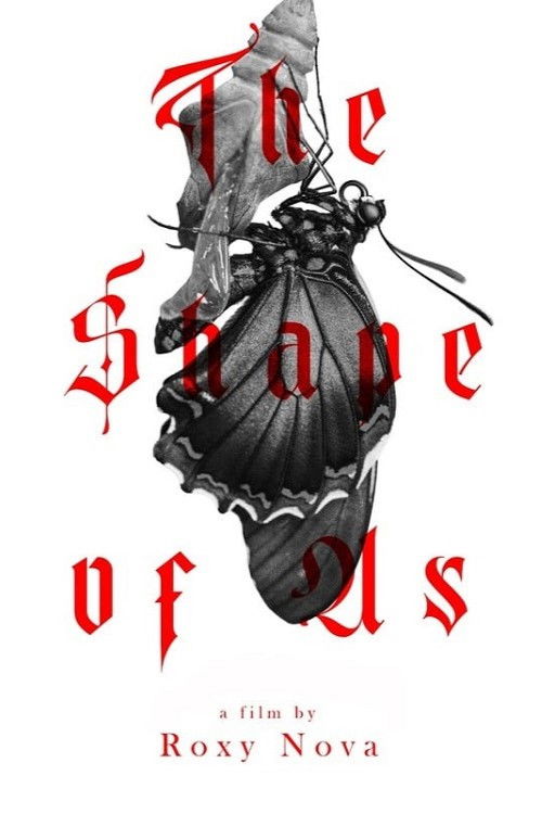 The shape of Us (2025) poster