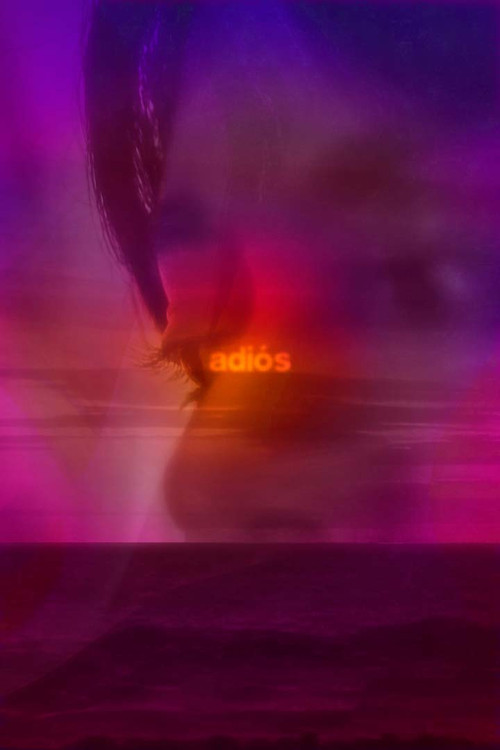 adiós (2022) poster