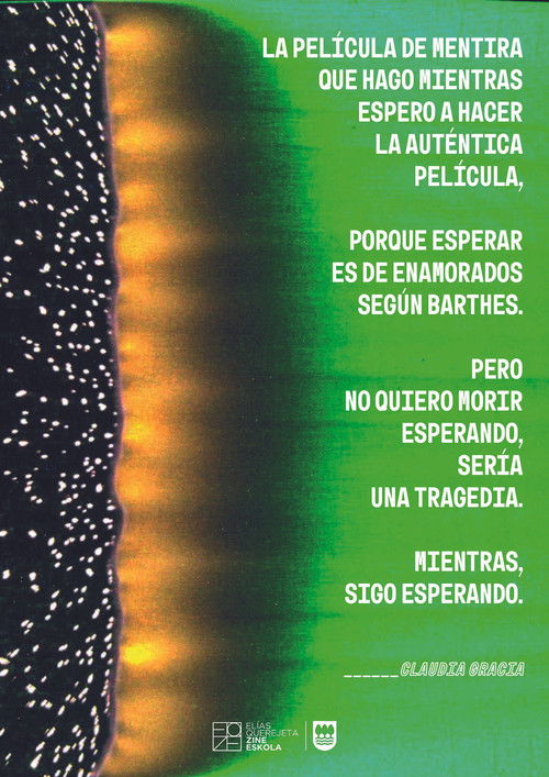 LA PELÍCULA DE MENTIRA (2024) poster