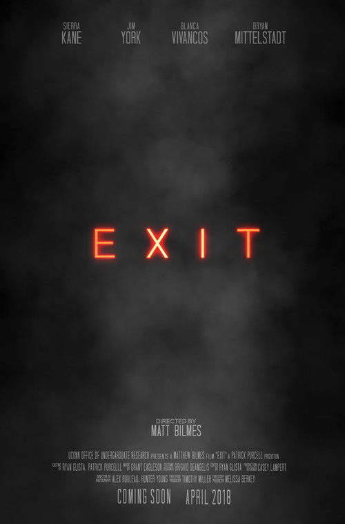 Exit (2018) poster