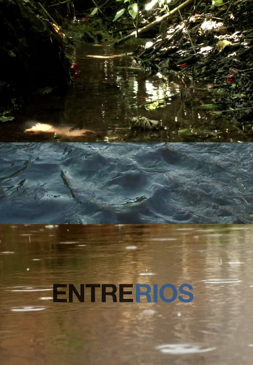 Entre Rios (2009) poster
