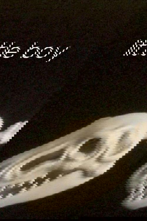 Little Boy (2025) poster