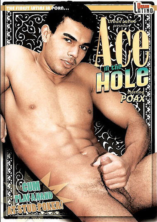 Ace In The Hole (2008) poster