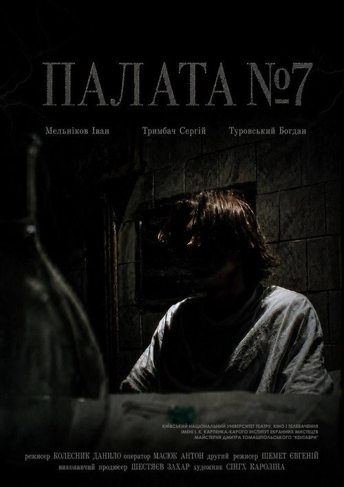 Палата №7 (2026) poster
