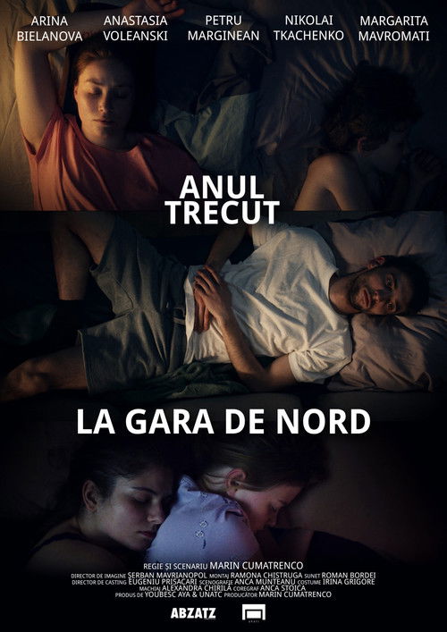 Anul trecut la Gara de Nord poster