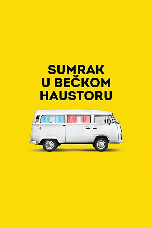 Vienna Hallways (2020) poster