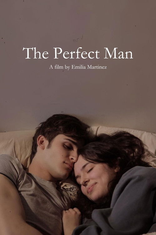 The Perfect Man (2023) poster
