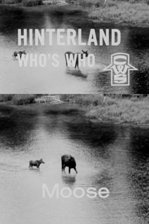 Hinterland Who's Who: Moose (1963) poster