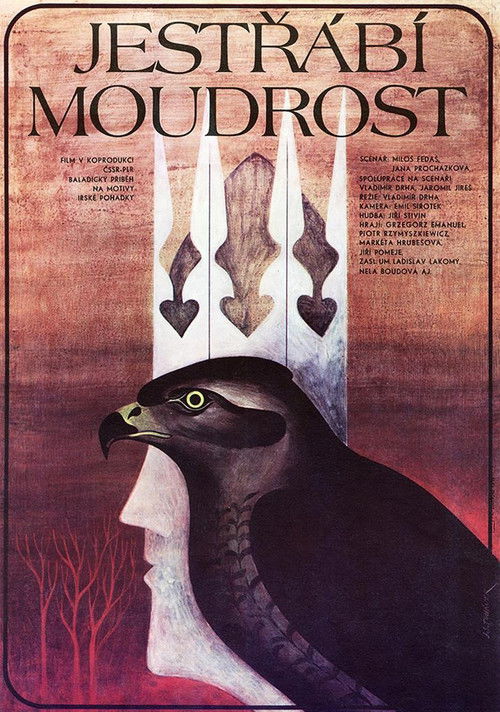 Jestřábí moudrost (1990) poster