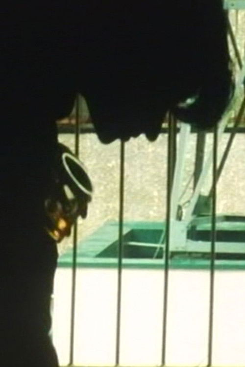 Zetcho: The Acme (Short Version) (1997) poster