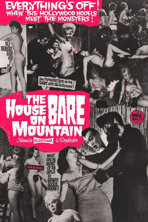 House on Bare Mountain (1962) poster