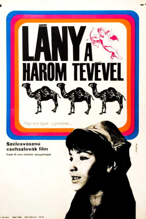 Dívka s třemi velbloudy (1967) poster