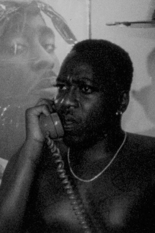 100 Boyfriends Mixtape (The Demo) (2016) poster