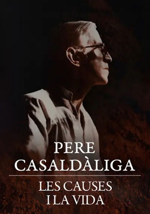 Pere Casaldàliga. Les causes i la vida (2013) poster