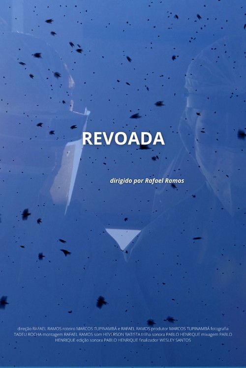 Revoada (2022) poster