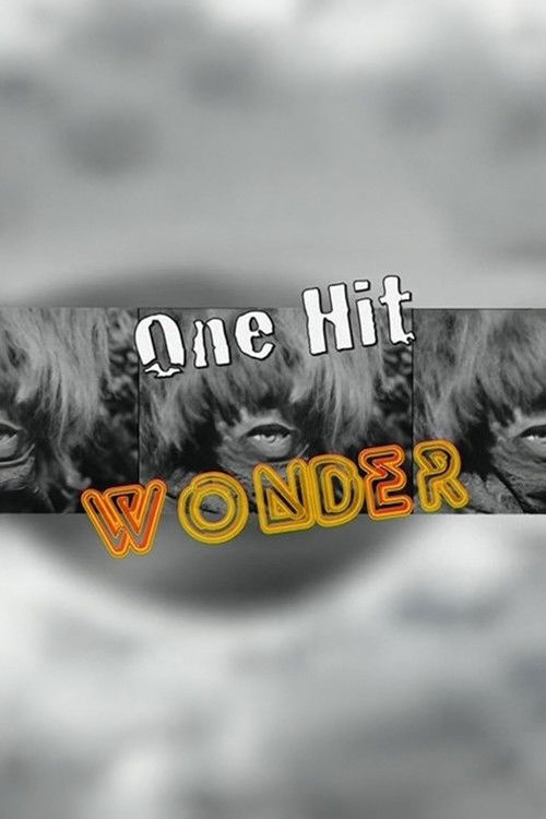 One Hit Wonder (2011) poster