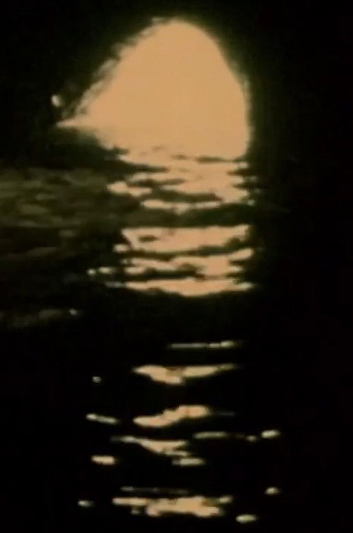 Malfunctions (2024) poster