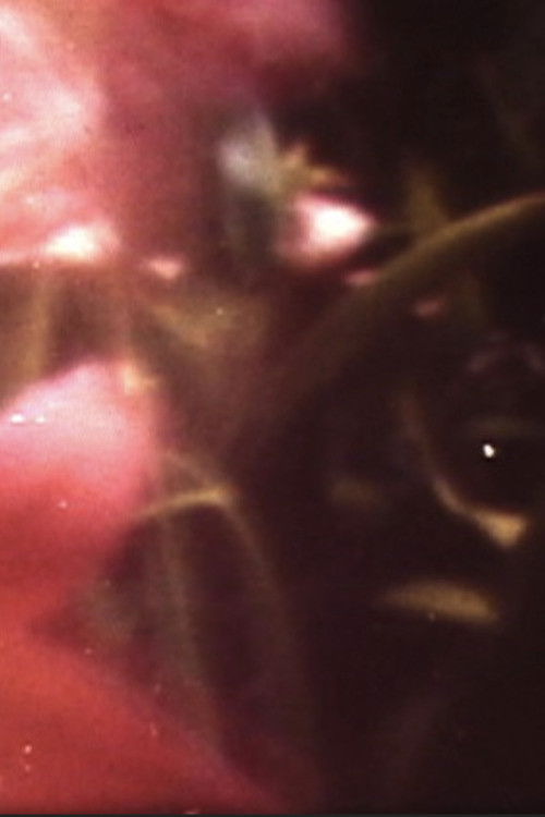 My Life as a Bee (2002) poster