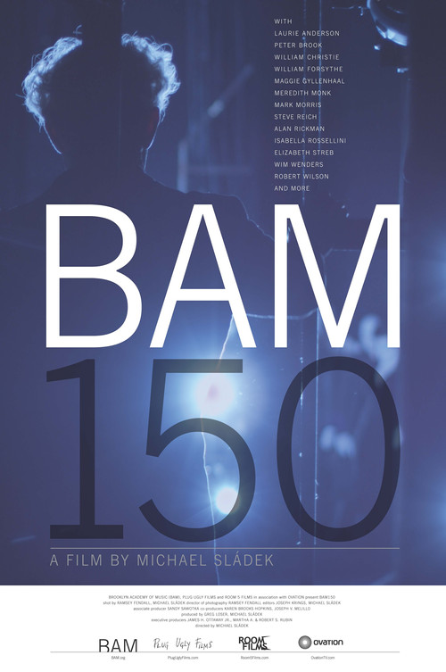 BAM150 (2012) poster